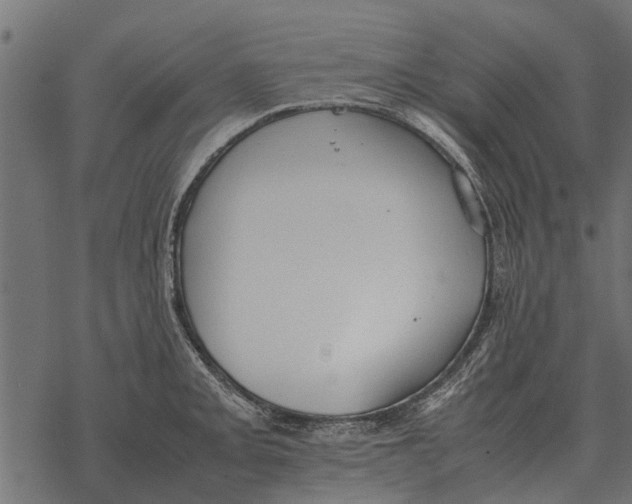 X0000067951093200605041819