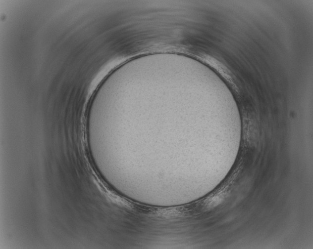 X0000067951094200605041819