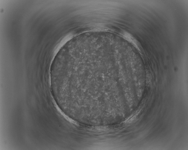 X0000067951095200605041819