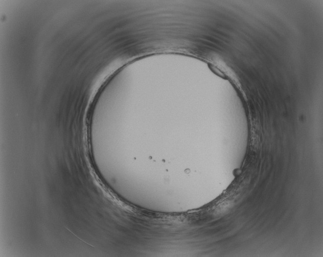 X0000067951096200605041819