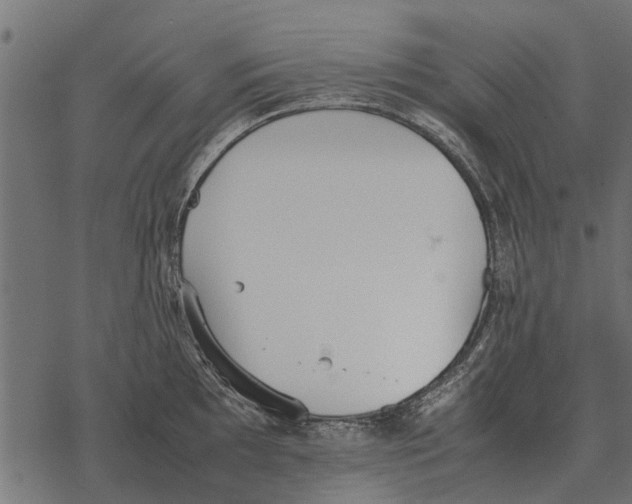 X0000067951097200605041819