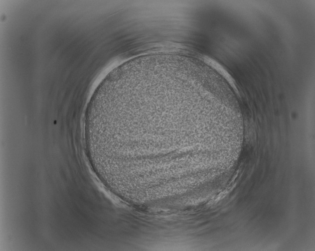 X0000067951099200605041819