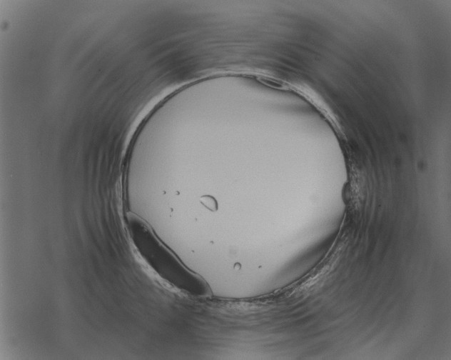 X0000067951100200605041819