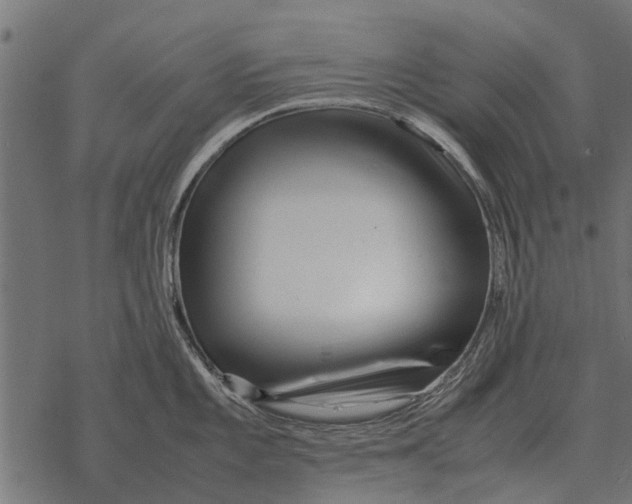 X0000067951101200605041819