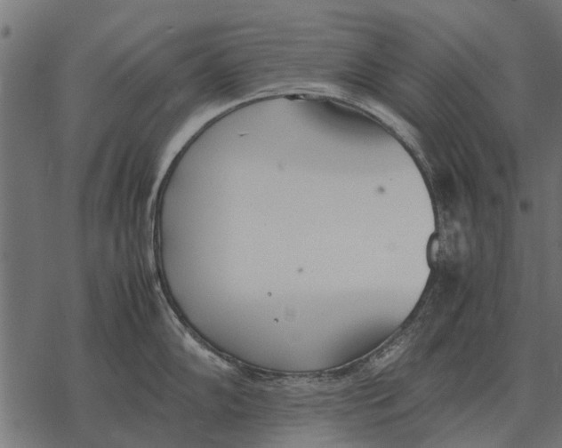 X0000067951102200605041819