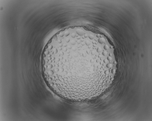 X0000067951103200605041819