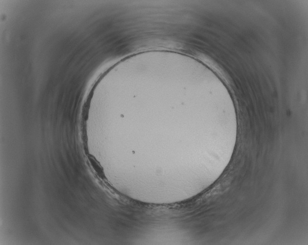 X0000067951104200605041819