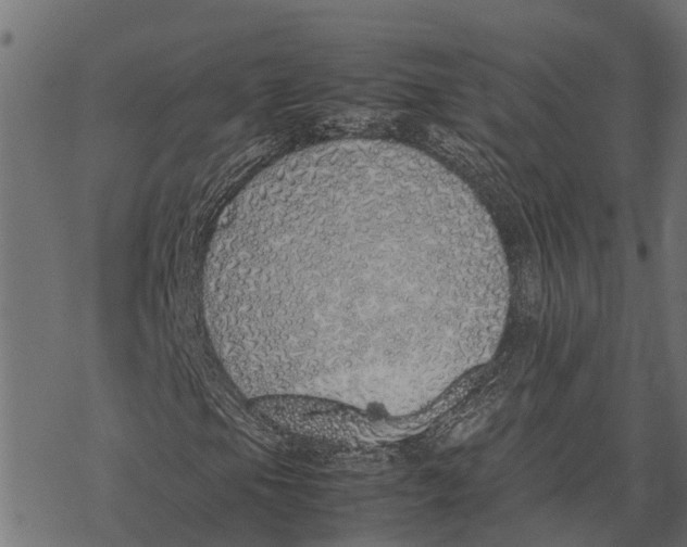 X0000067951105200605041818