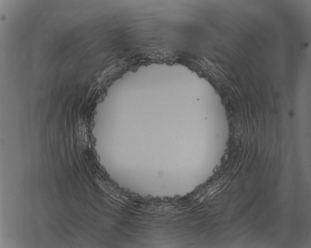 X0000067951106200605041818