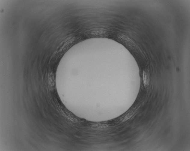 X0000067951107200605041818