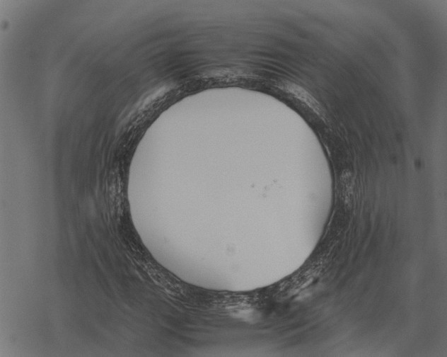 X0000067951111200605041818