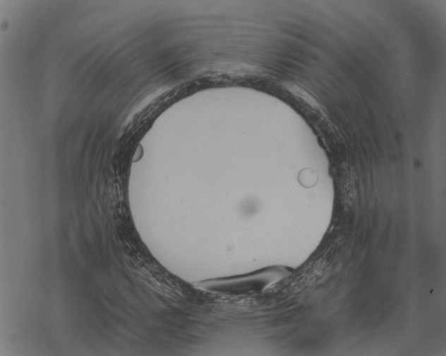 X0000067951112200605041818