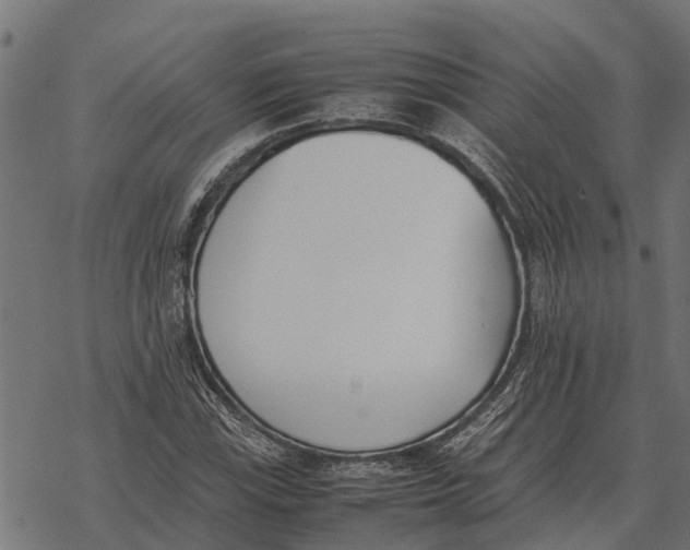 X0000067951115200605041819