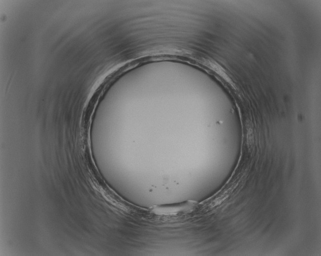 X0000067951116200605041819