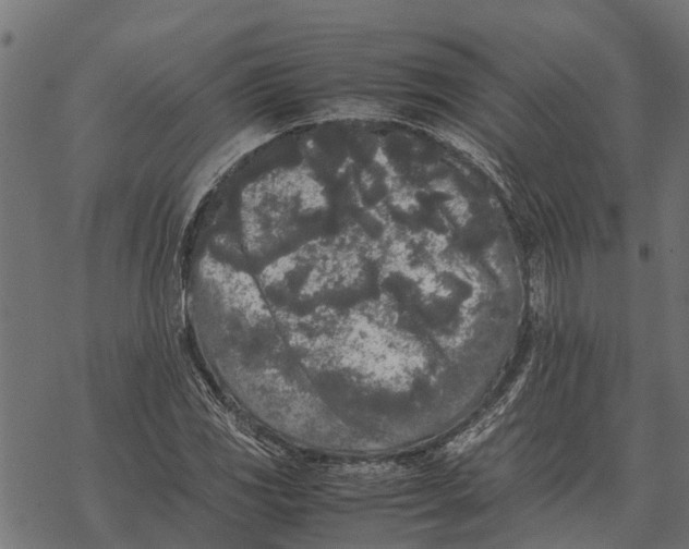 X0000067951117200605041819