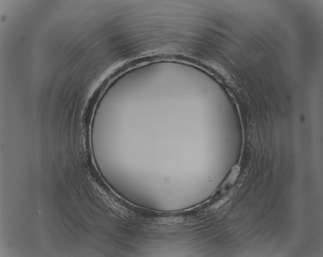 X0000067951118200605041819