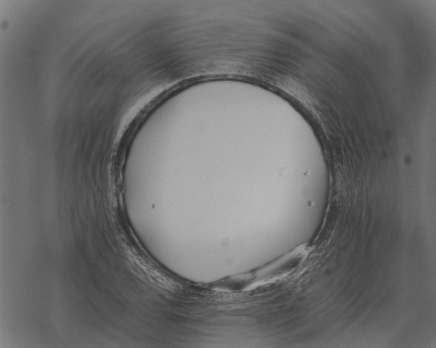 X0000067951120200605041819