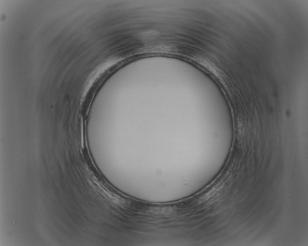 X0000067951123200605041819