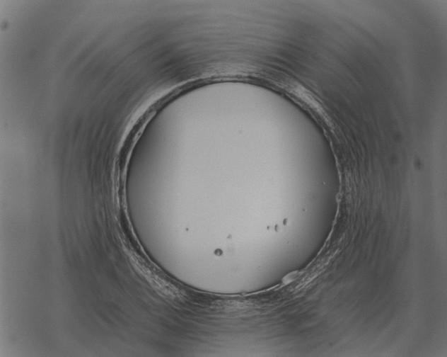 X0000067951124200605041819