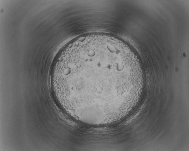 X0000067951125200605041819