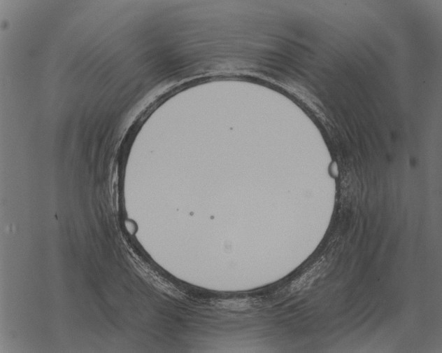 X0000067951126200605041819