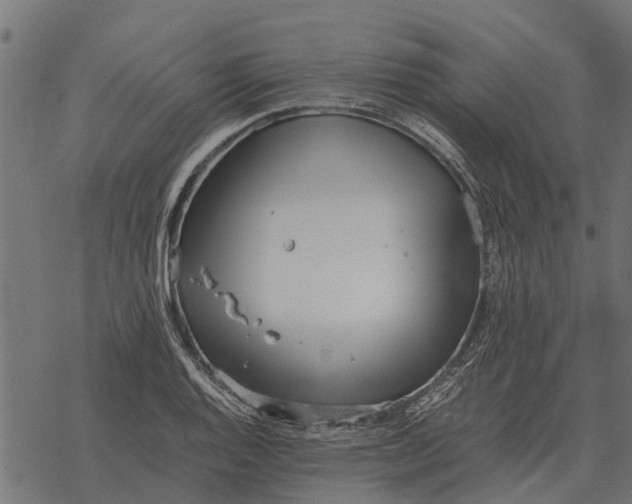 X0000067951128200605041819