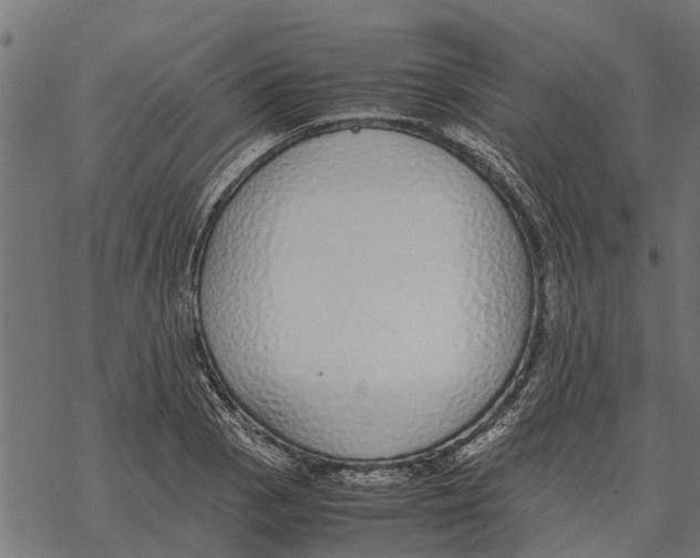 X0000067951129200605041819