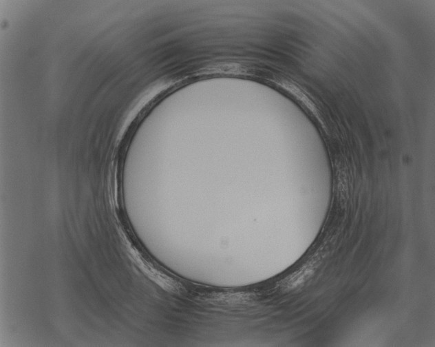 X0000067951131200605041819