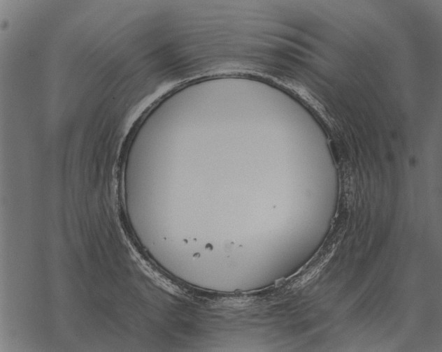 X0000067951134200605041819