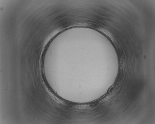 X0000067951135200605041819