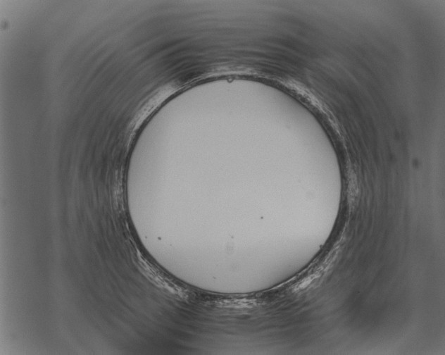 X0000067951137200605041819