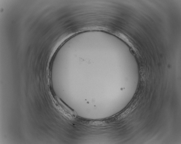 X0000067951140200605041819