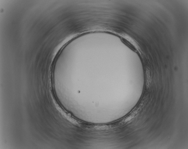 X0000067951142200605041819