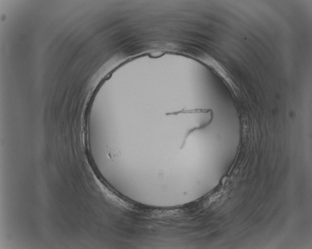 X0000067951143200605041819