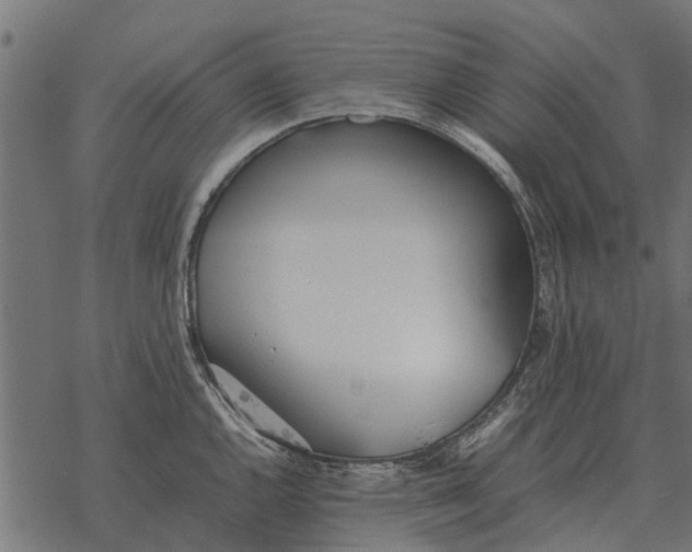 X0000067951144200605041819