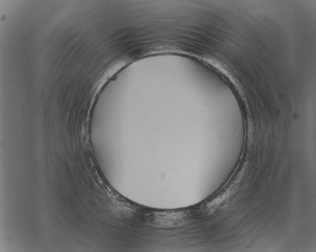 X0000067951145200605041819