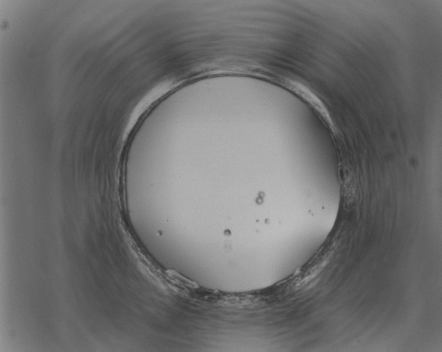 X0000067951146200605041819