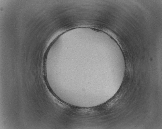 X0000067951147200605041819