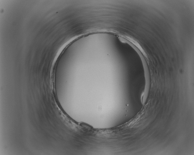 X0000067951148200605041819