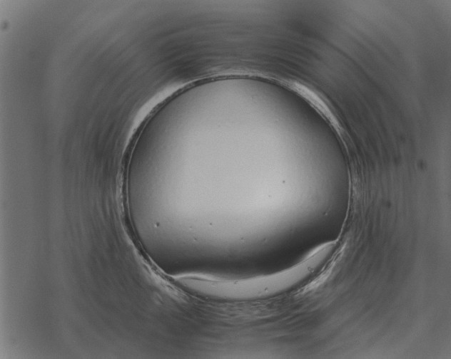 X0000067951149200605041819