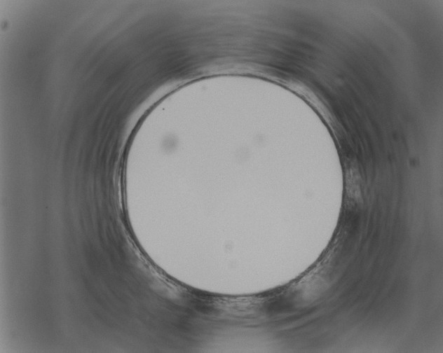 X0000067951150200605041819