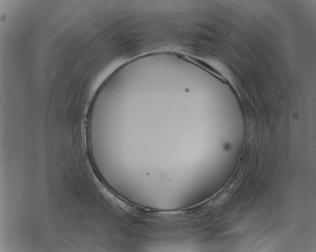 X0000067951151200605041819