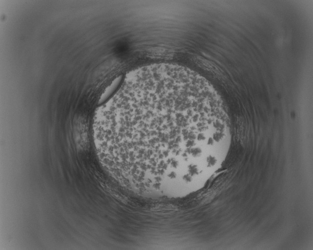 X0000067951154200605041818