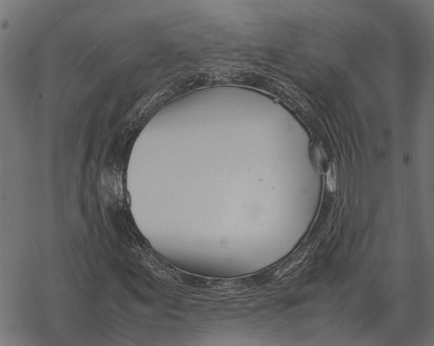 X0000067951155200605041818