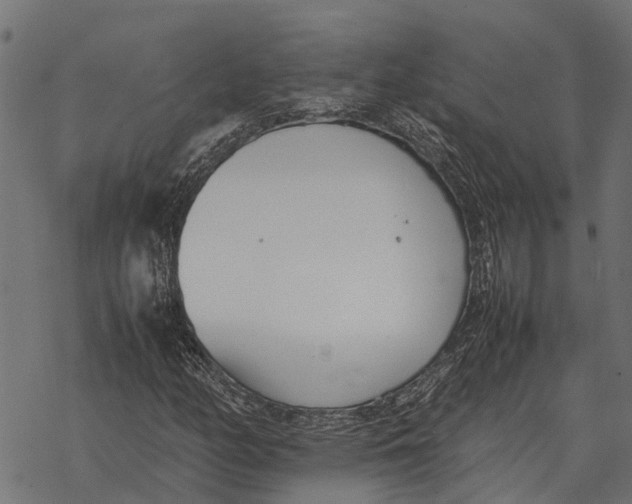 X0000067951158200605041818