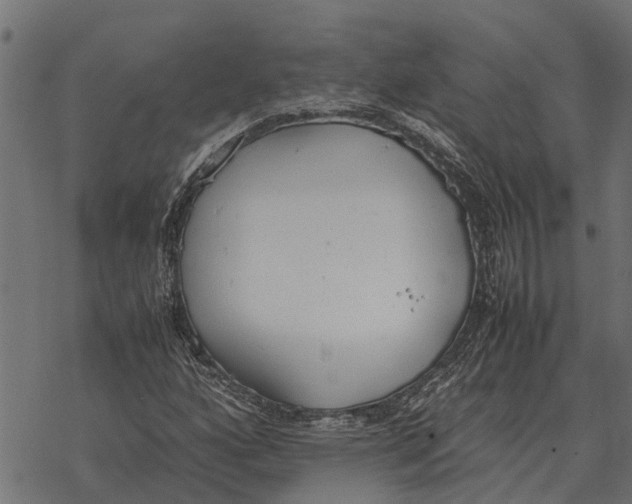 X0000067951160200605041818