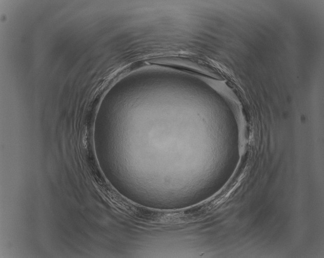 X0000067951161200605041818