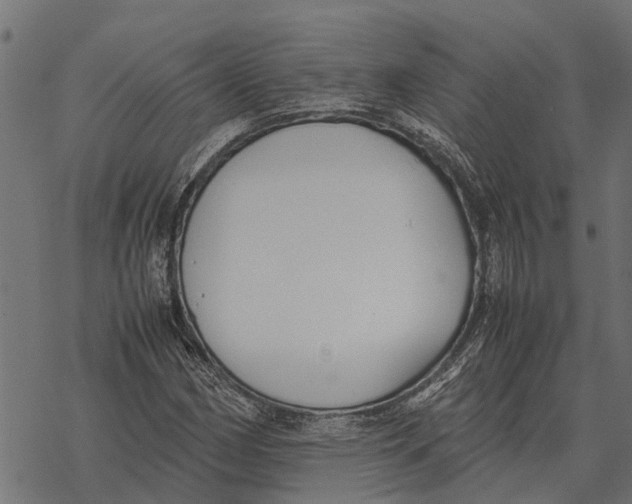 X0000067951162200605041818