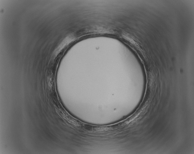 X0000067951163200605041818