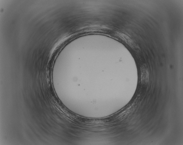 X0000067951164200605041818